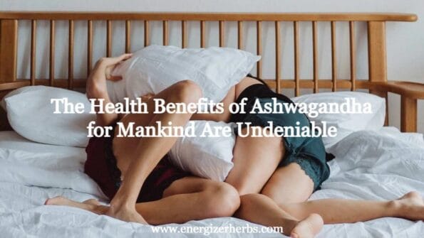 Benefits of Ashwagandha for Mankind