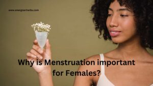 Menstruation