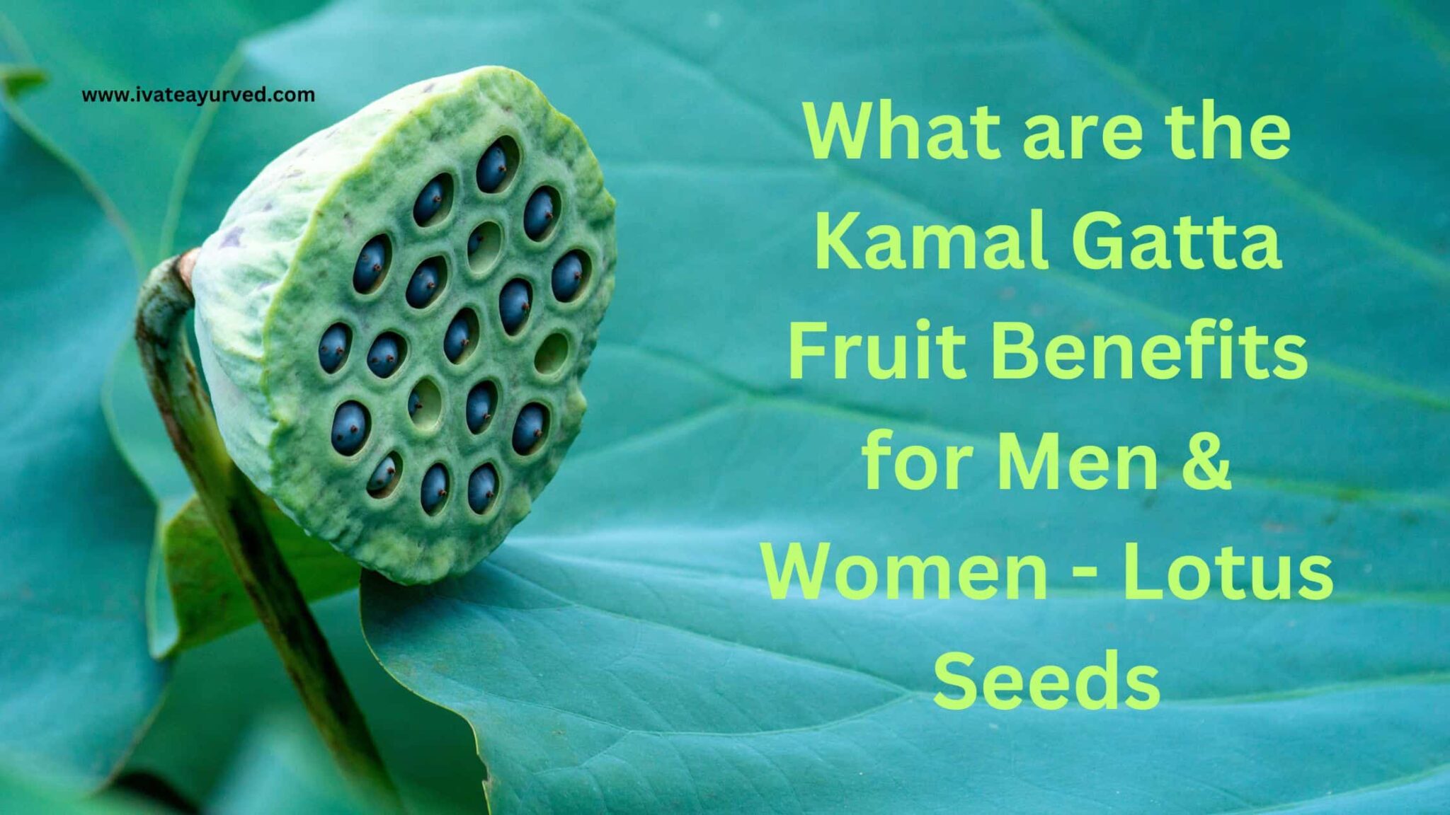 Kamal Gatta fruit Benefits for Men & Women | Diet, Medicine Uses