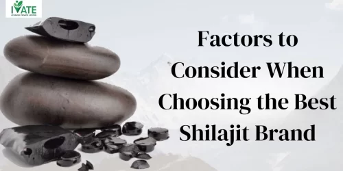 best shilajit brand in india