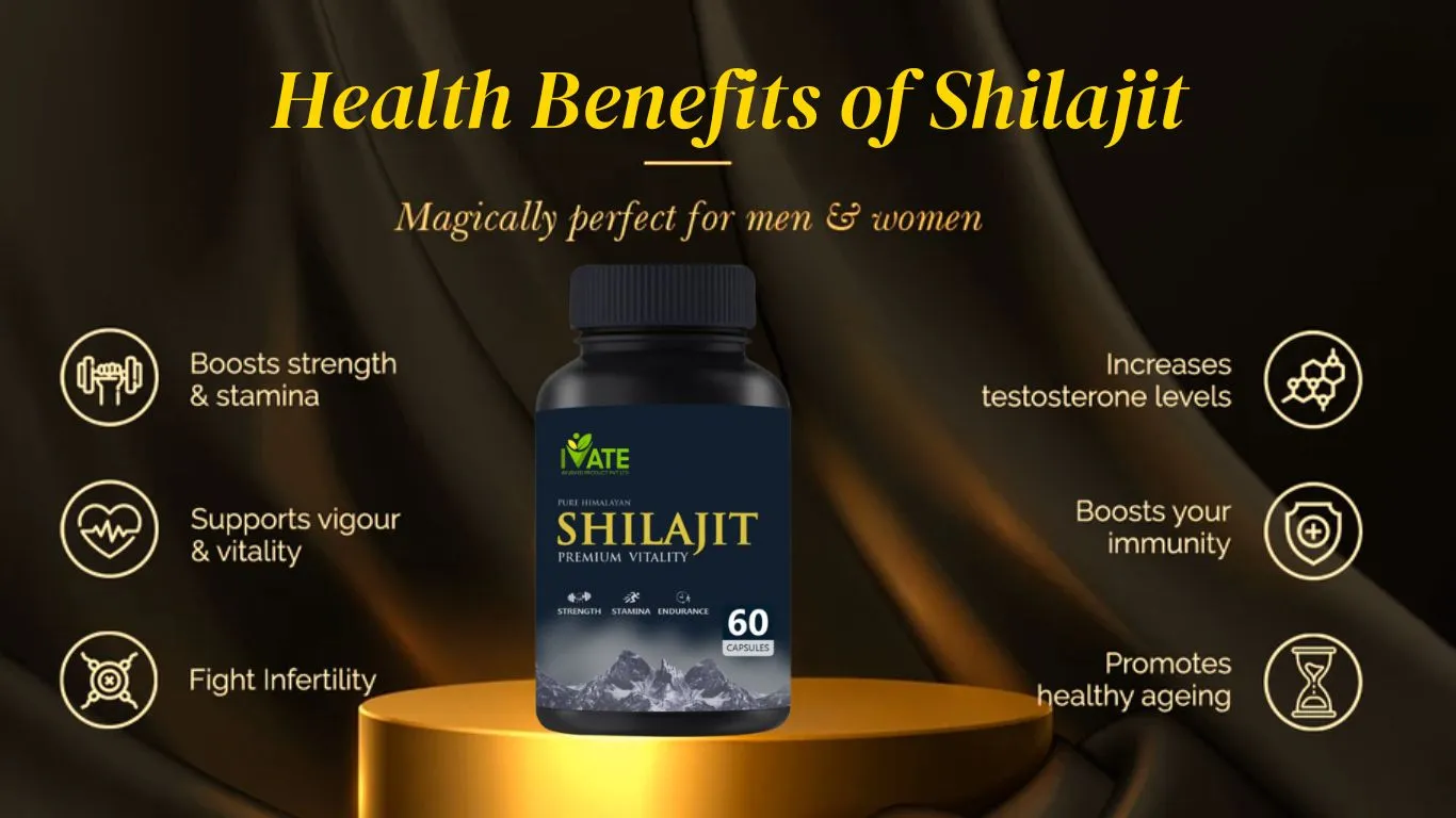 best shilajit brand in india