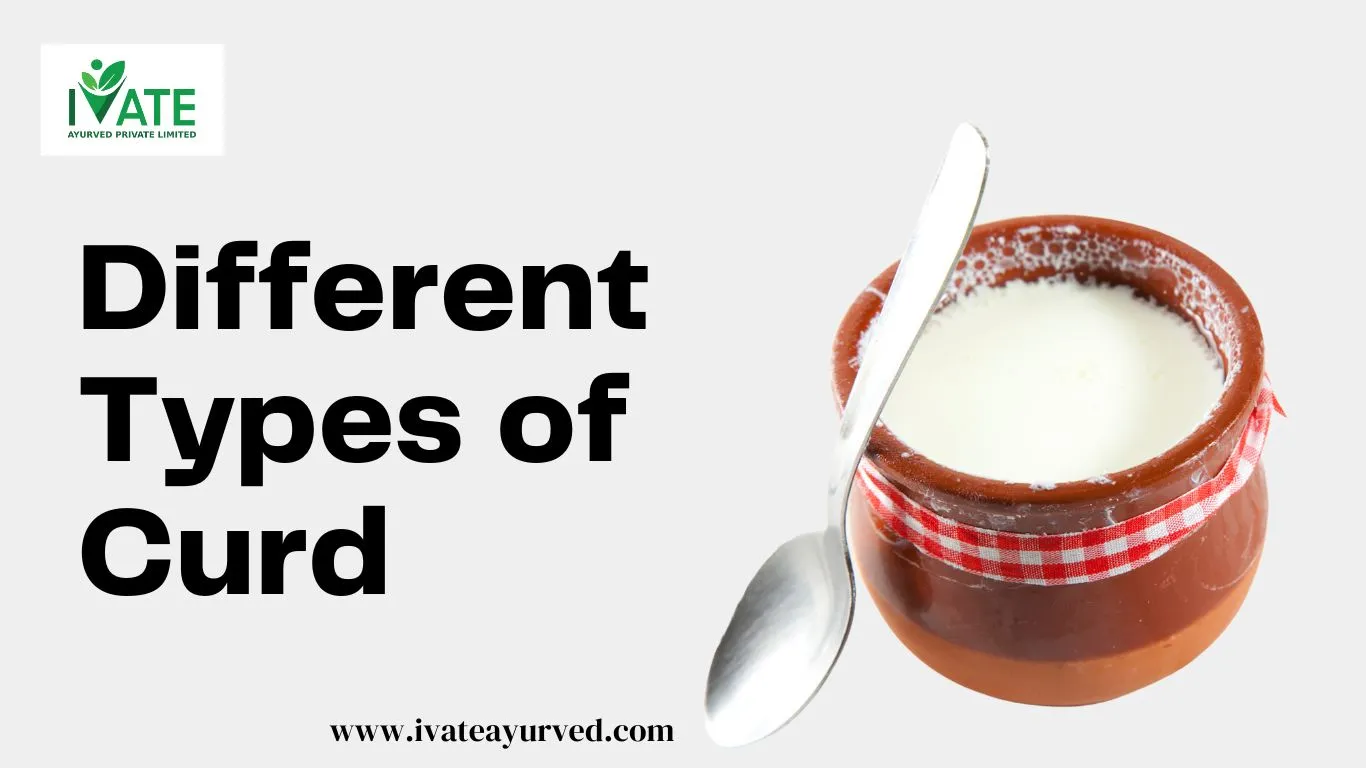 Is Curd (Yogurt) Good for Weight Loss