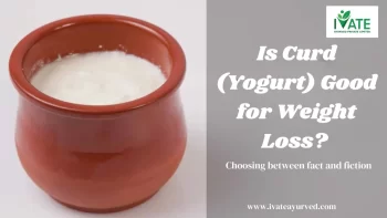 Is Curd (Yogurt) Good for Weight Loss