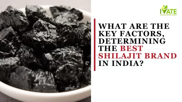 Best Shilajit Brand in India?