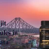 Best Shilajit Capsules in KolKata