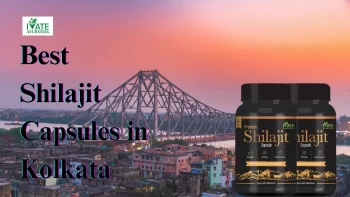 Best Shilajit Capsules in KolKata