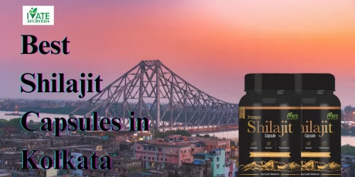 Best Shilajit Capsules in KolKata