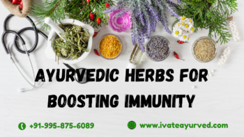 Ayurvedic herbs For Boosting Immunity iVateayurved.com