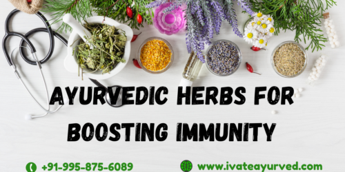 Ayurvedic herbs For Boosting Immunity iVateayurved.com