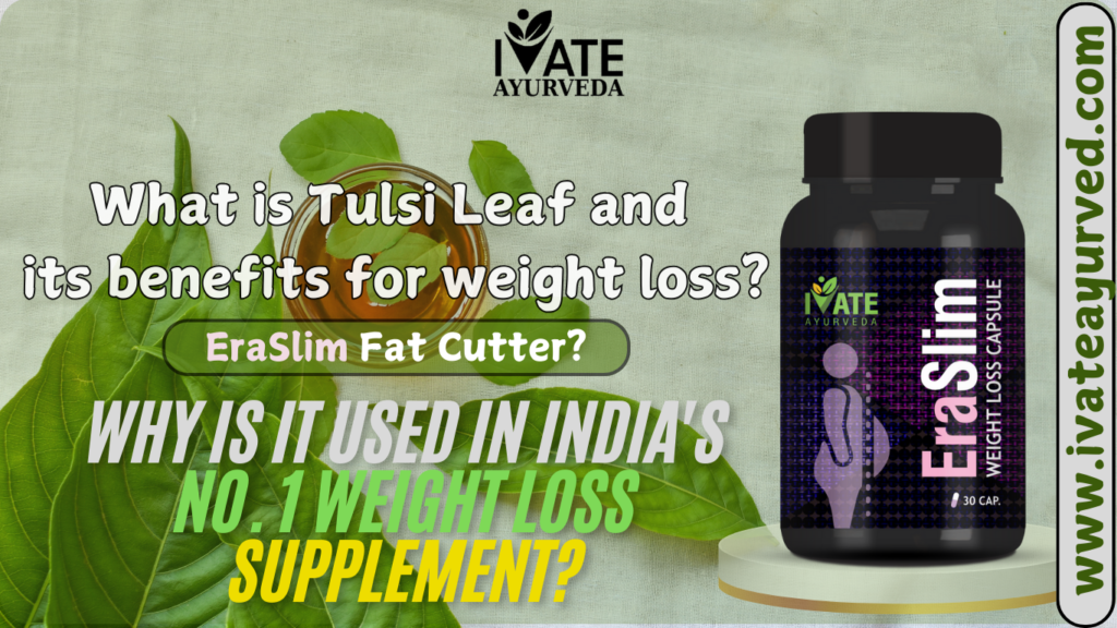 tulsi-leaf-benefits-for-weight-loss-ivate-ayurveda