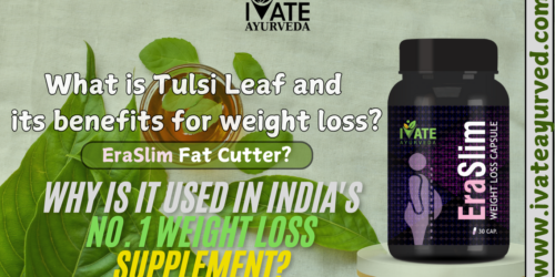 tulsi-leaf-benefits-for-weight-loss-ivate-ayurveda